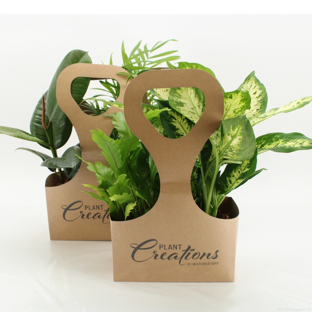 Tas 2 Ecotas met 2 planten, D 12