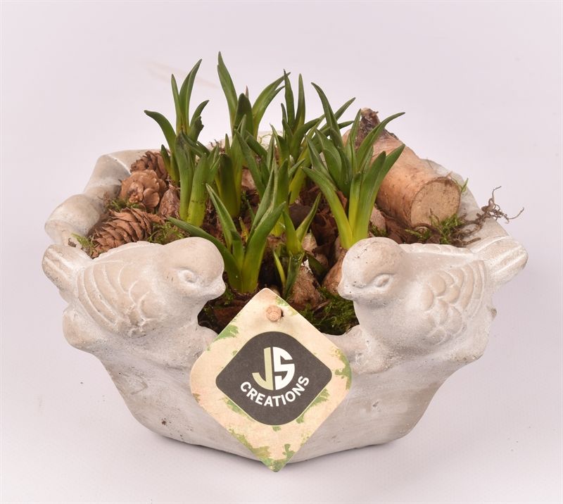 Cement vogelschaal 18cm, D 18