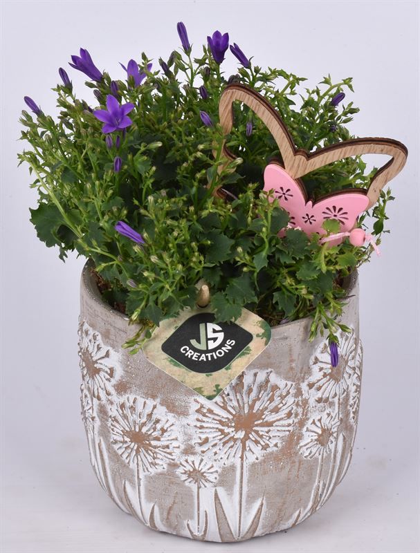 Cement pot bloemdecor 11,5cm, D 12