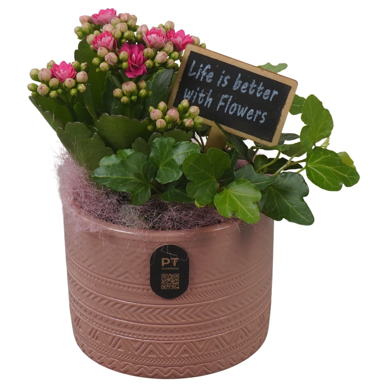 PTIB5178 Arrangement Indoor in keramiek pot, D 10