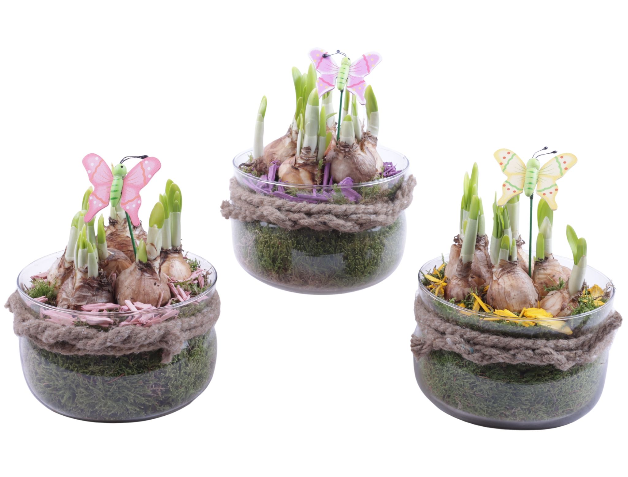 Bulbs Arr. Narcis Glass Bowl with Rope Ø16cm, D 16