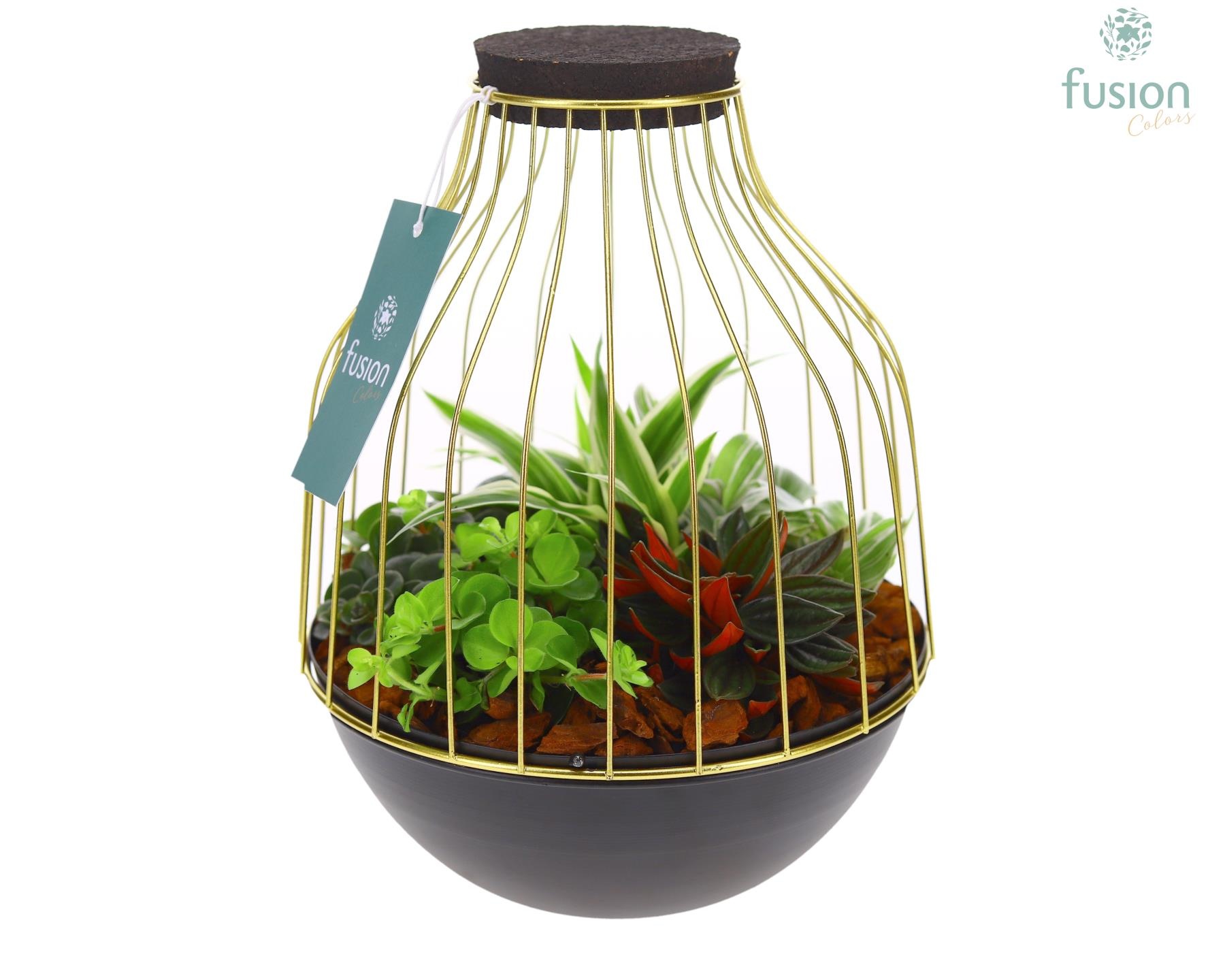 Vogelkooi metaal goudzwart Medium met groene planten, D 19