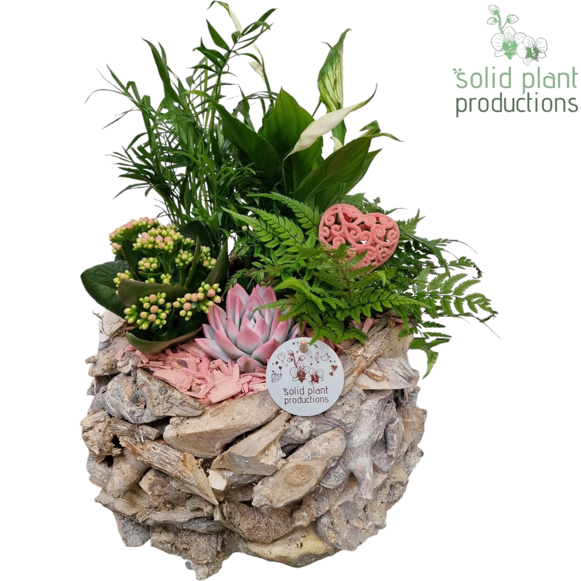 SCE013 Driftwood Round White Washed Pink Love, D 31