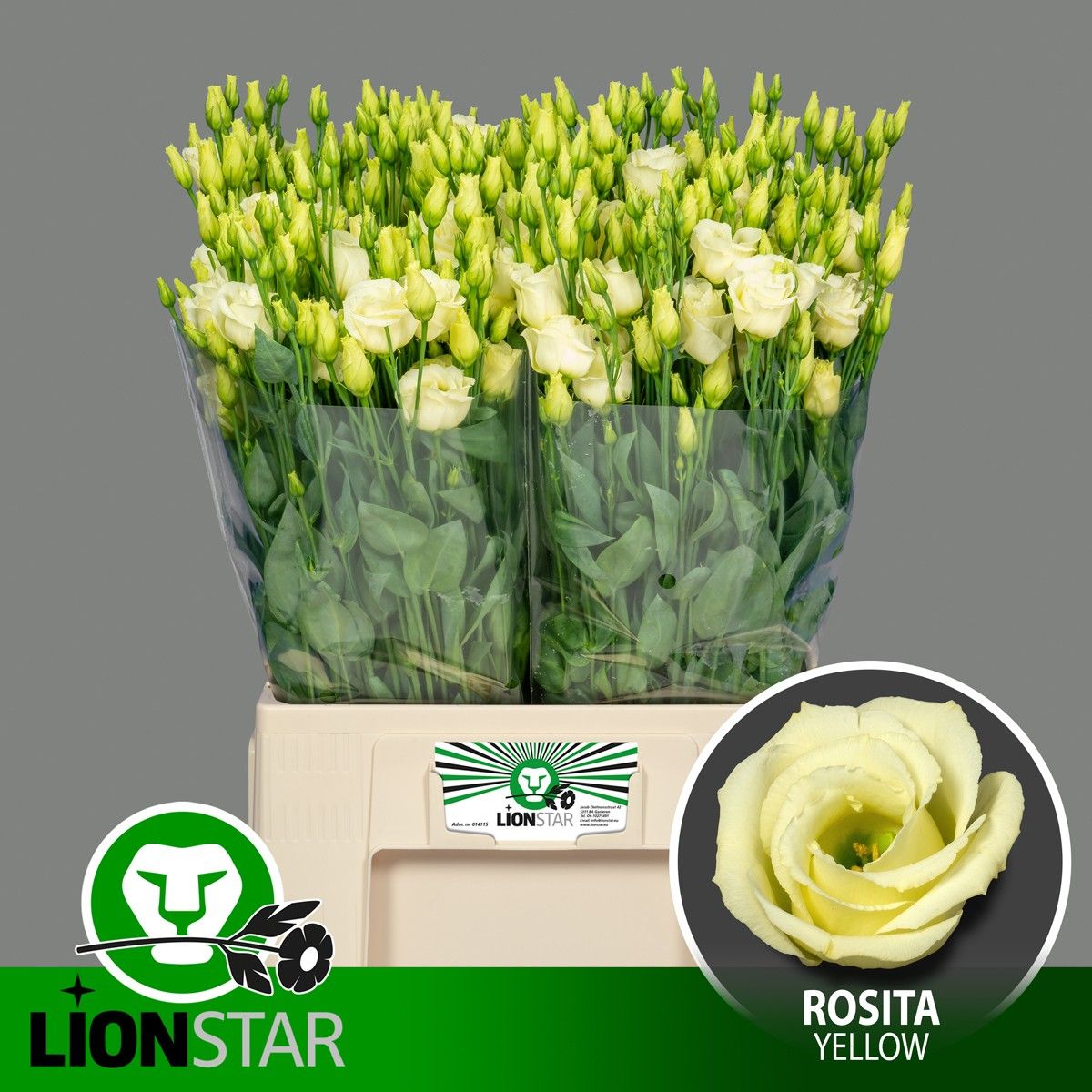 Эустома Экскалибур Хот Липс 65, шт.