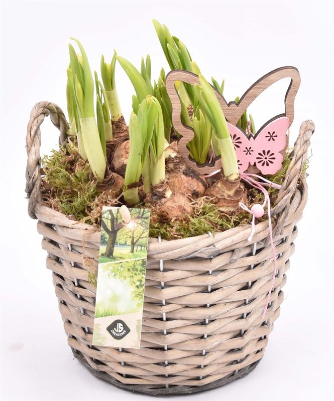 Wilg mand grijs met oor 18cm, D 19