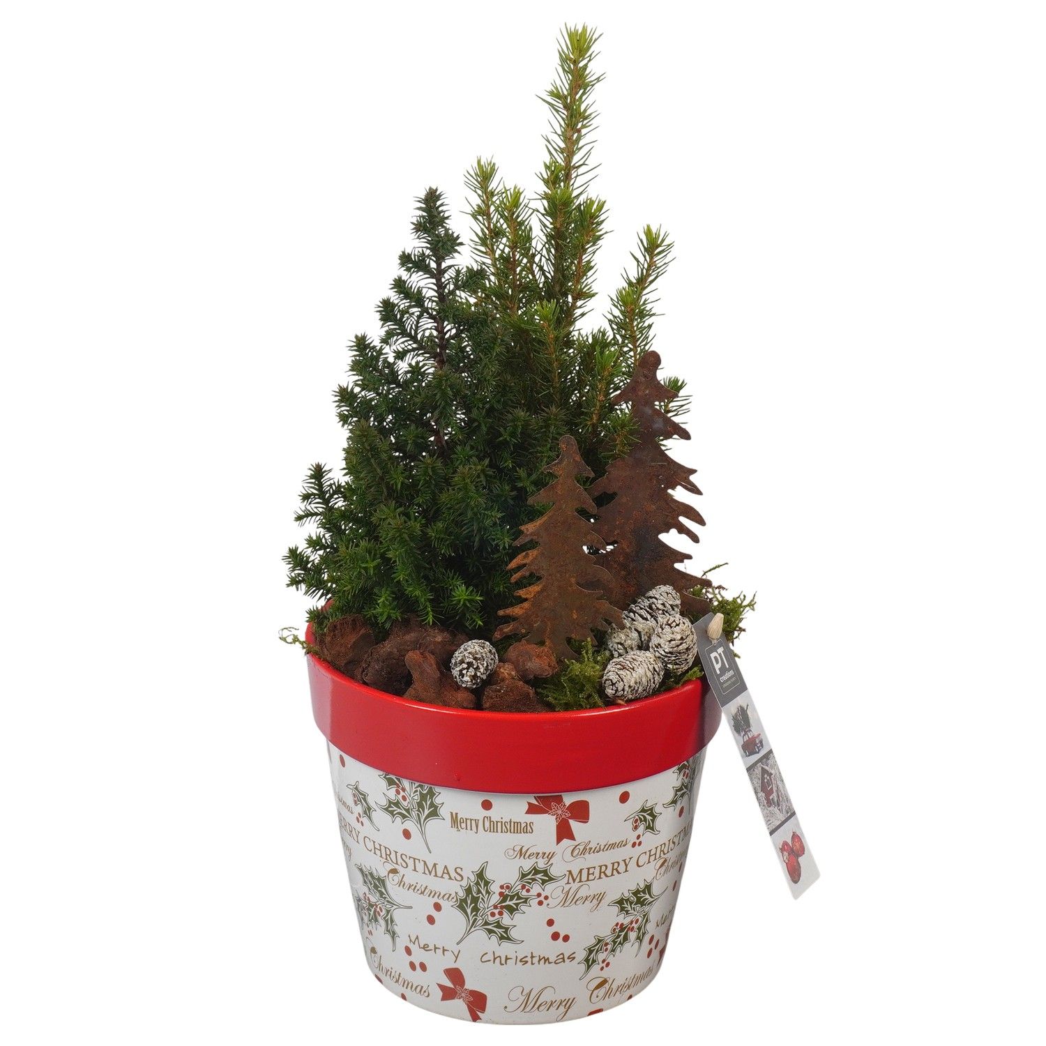 PTCWW6914 Arrangement Winter in keramiek pot, D 15 cm