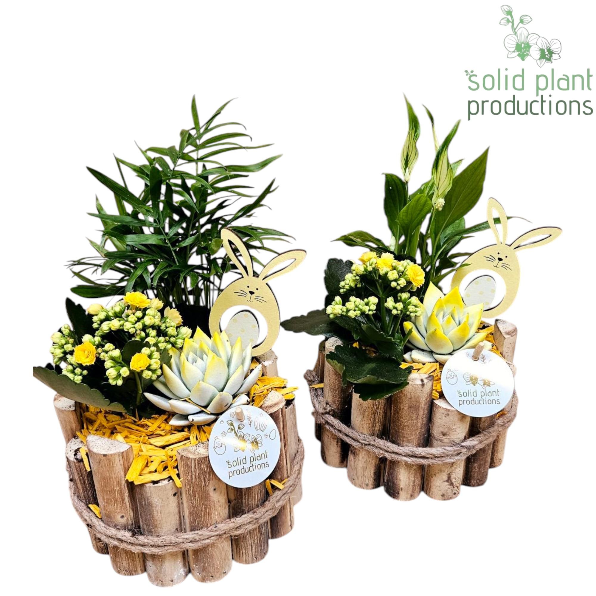 HSCE001 Milano Small Easter, D 17