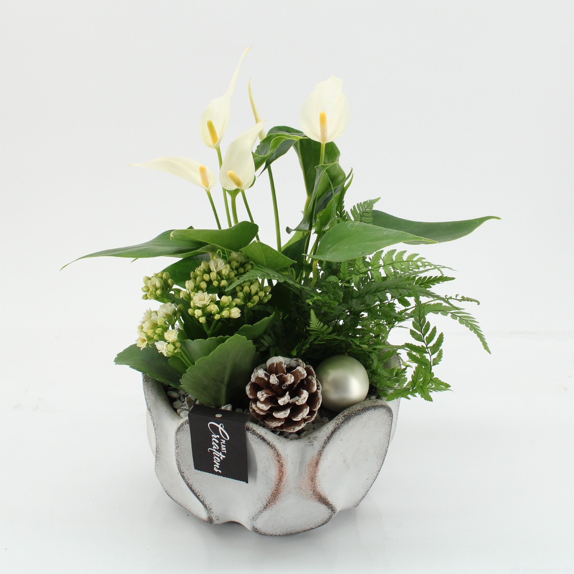 XMASXL-2510 Kerst XL, D 19 cm XMASXL-2510 Kerst XL, D 19 cm
