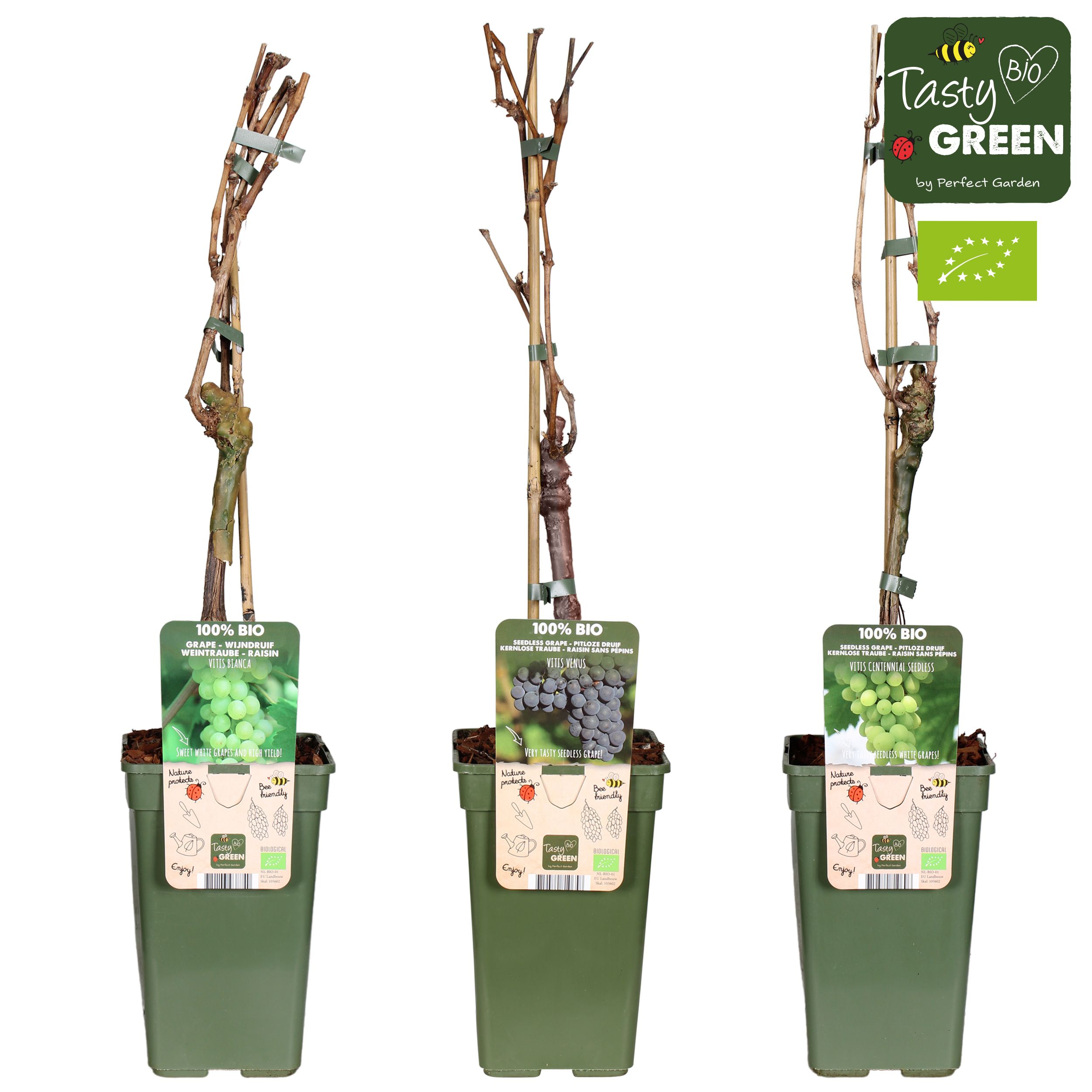 Vitis mix laag Bio P19, D 19