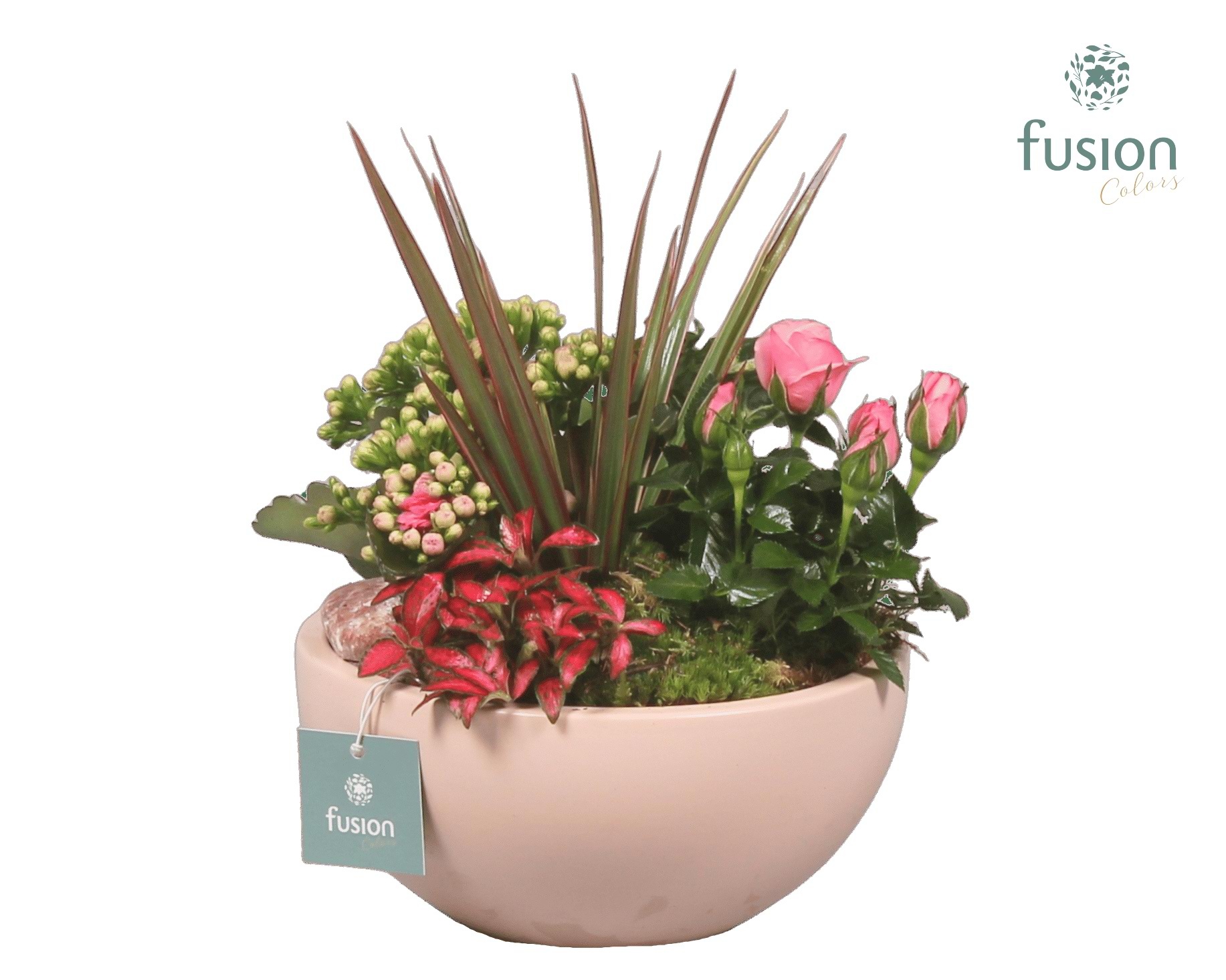 Schaal keramiek Moon Medium blush pink Love met Arrangement, D 18