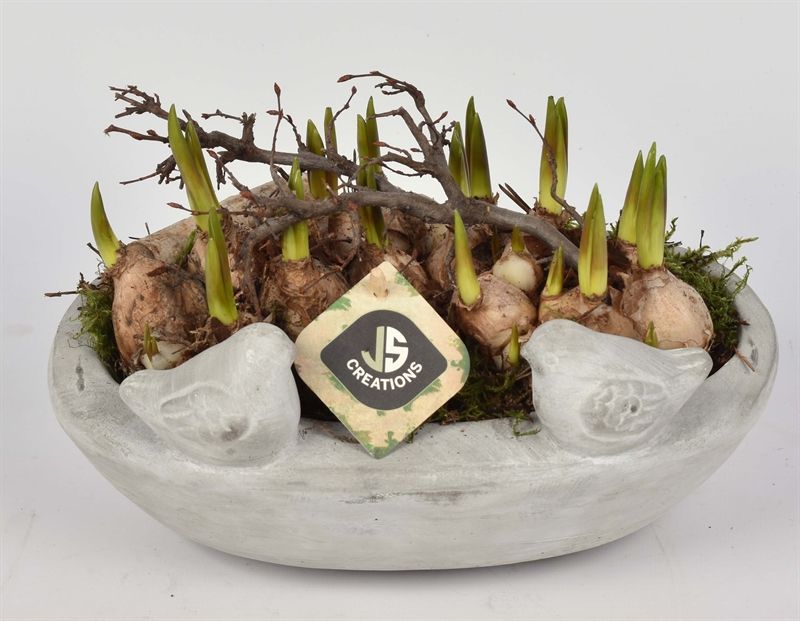 Cement voederschaal 25x16cm, D 25