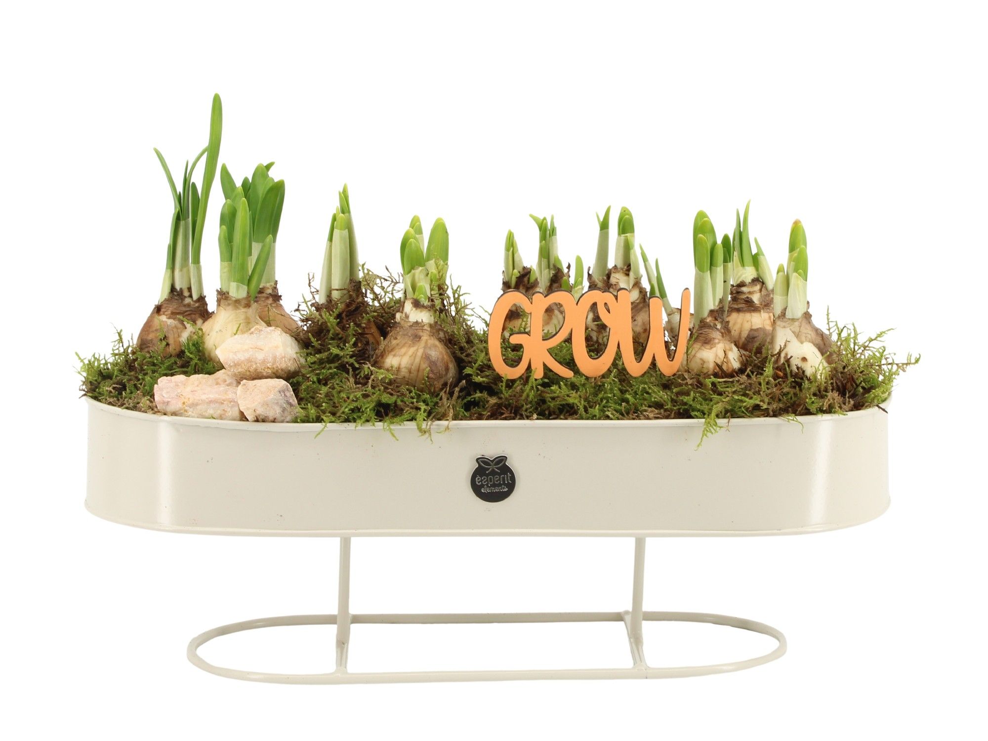 11465: Outdoor spring arrangement, D 36 cm