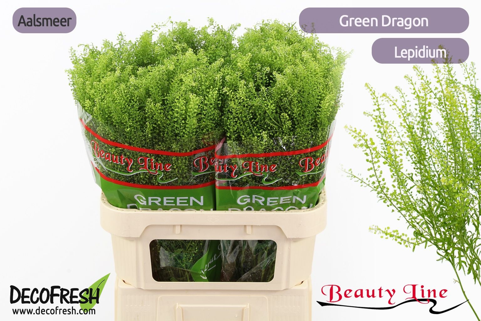 Тласпи Грин Драгон 80 (зел.), шт.