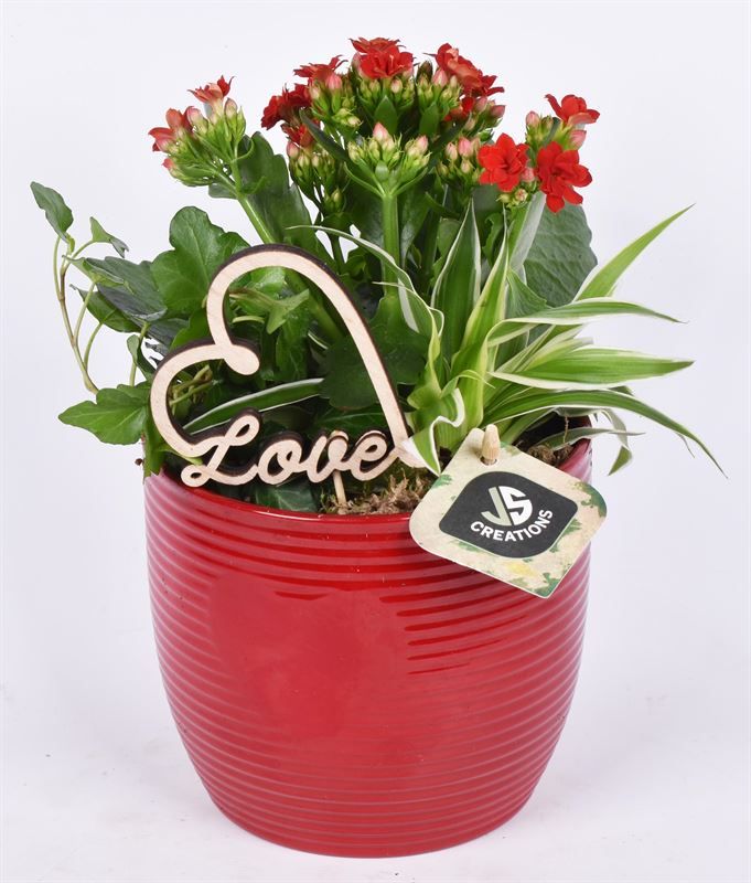 Keramiek ribbelpot enhart rood 13cm, D 13