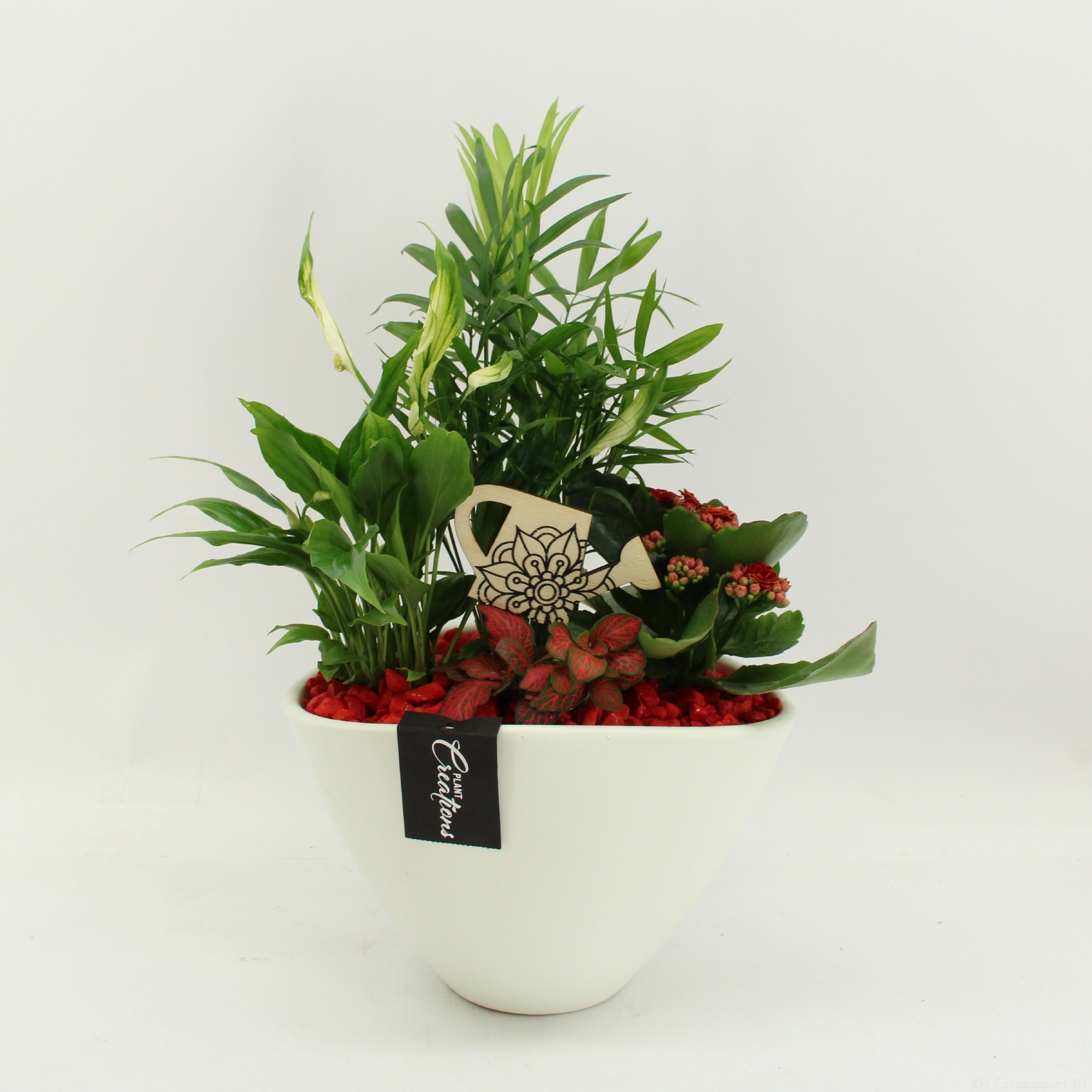 FDCR-2611R Basic Fundamentals, D 21