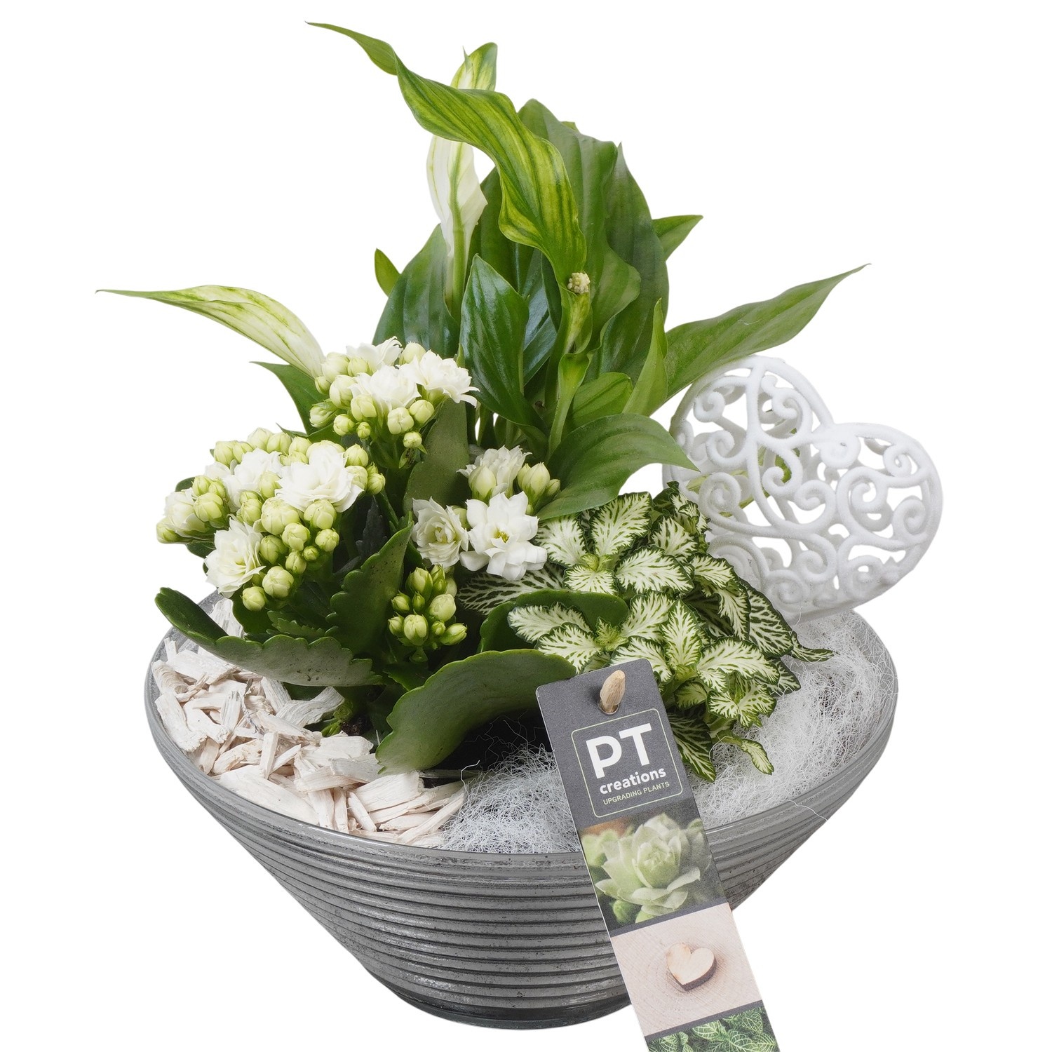 PTVMG4969 Arrangement Valentines-Mothersday in glas schaal, D 19