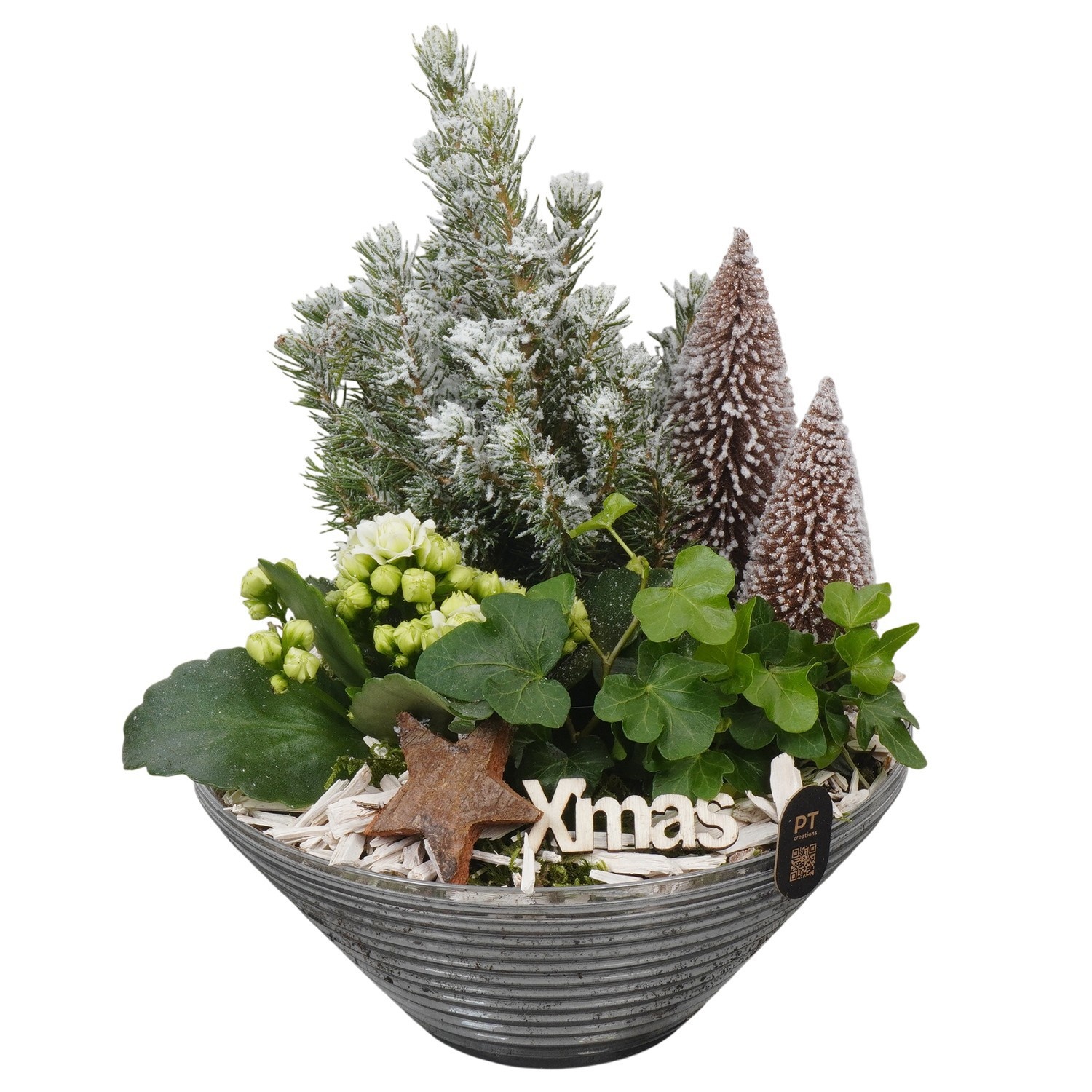 PTCHB5827 Arrangement Christmas Bronze in glas schaal, D 19