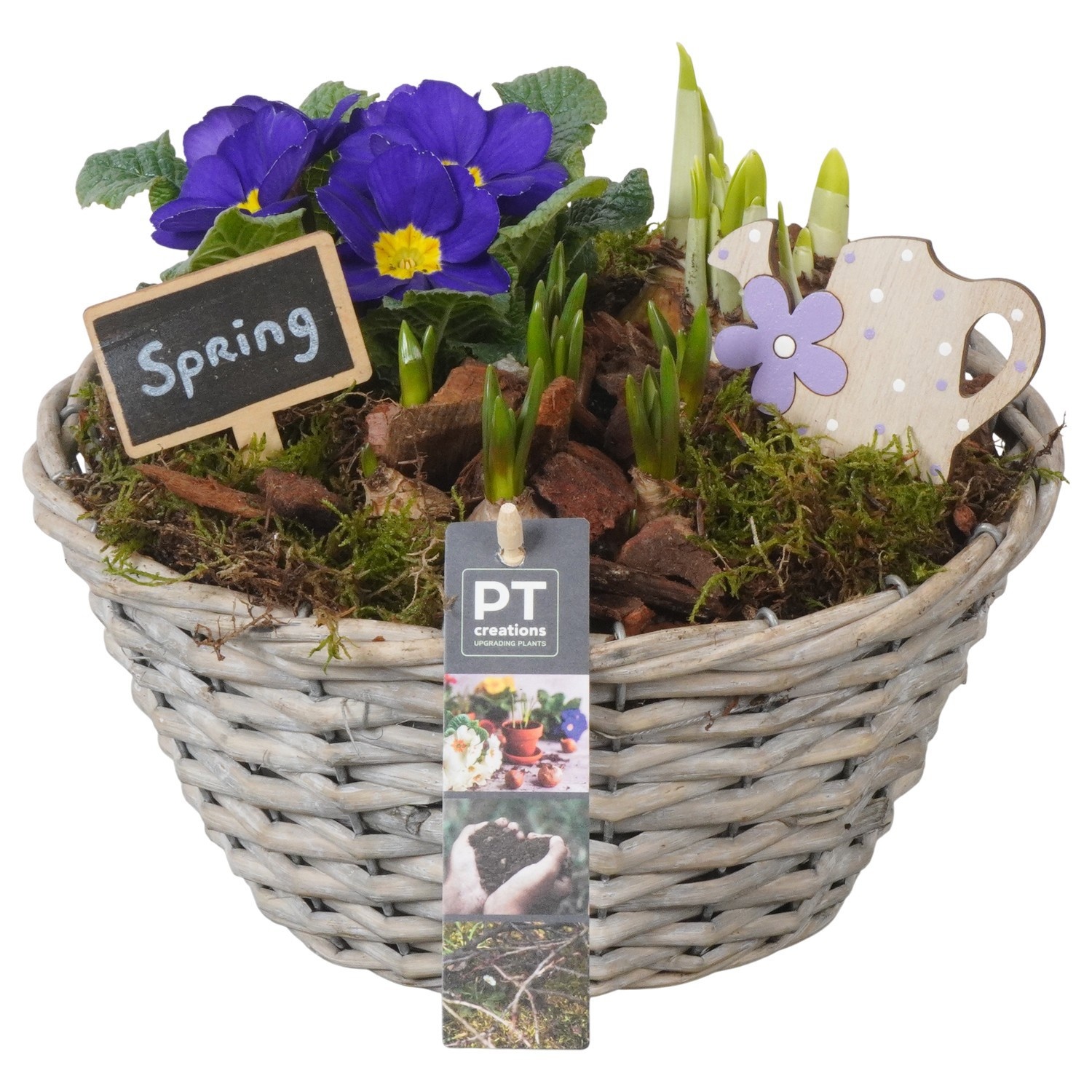 PTBM3848 Arrangement Flower Bulbs Mix in rieten mand, D 24
