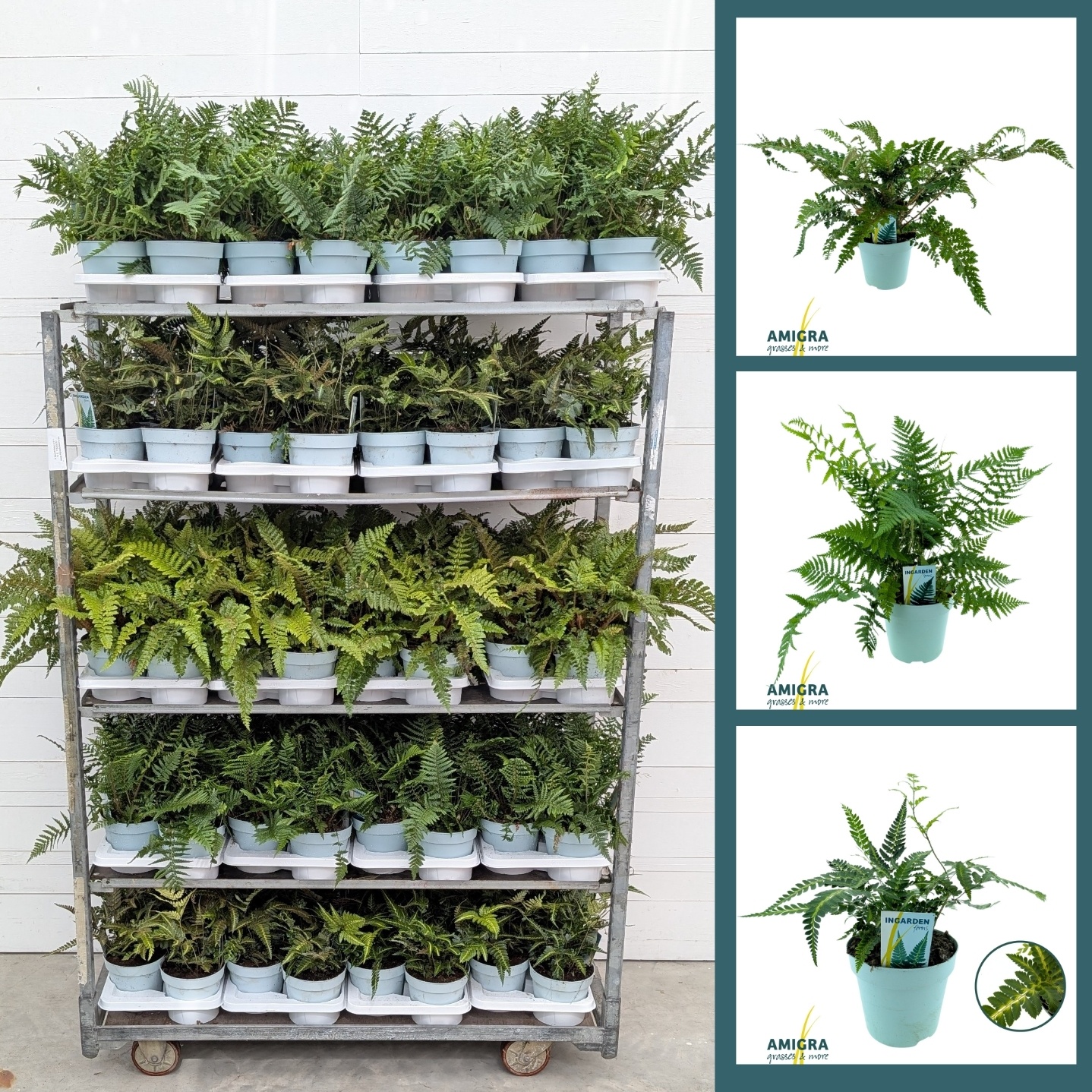 Buitenvaren MIX 17cm Module 2, D 17