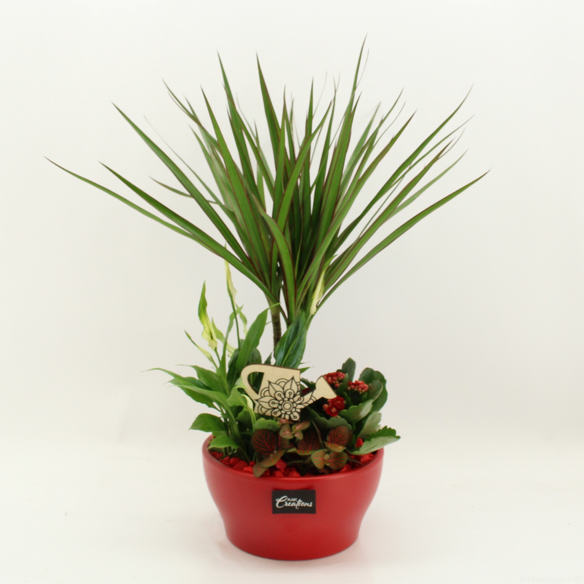 FDCR-2609R Basic Fundamentals, D 19