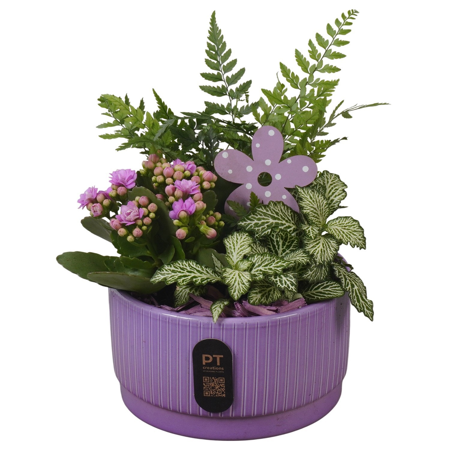 PTIB5102 Arrangement Indoor in keramiek schaal, D 16