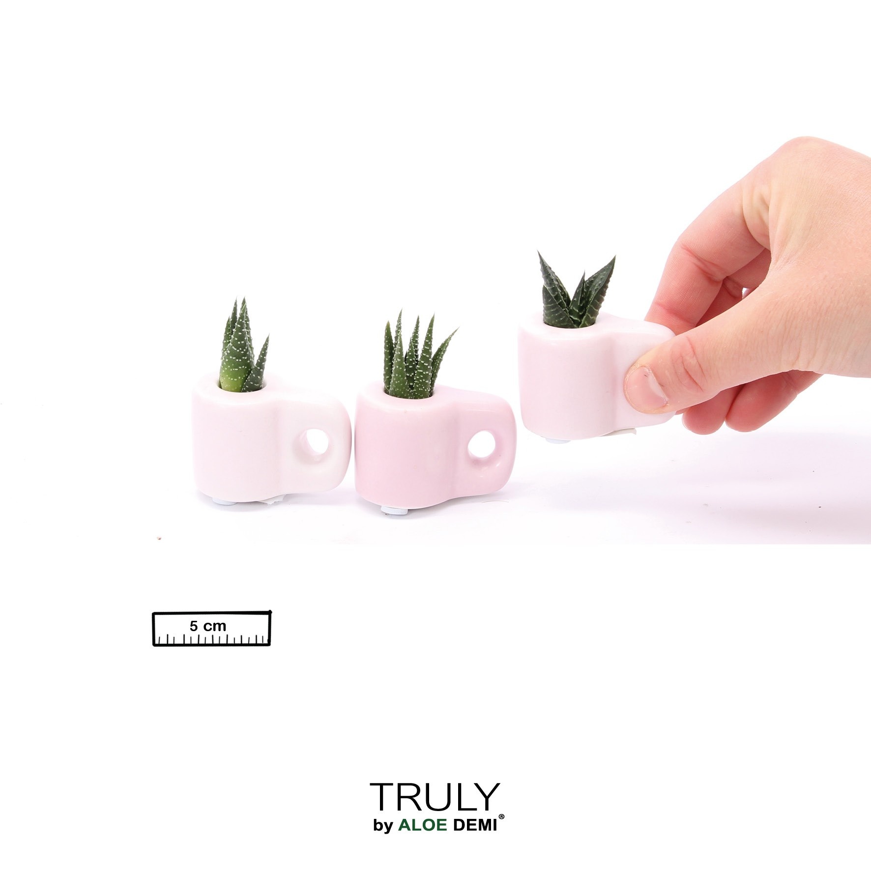 TRULY Succulent, Mug Pink Mini, D 5