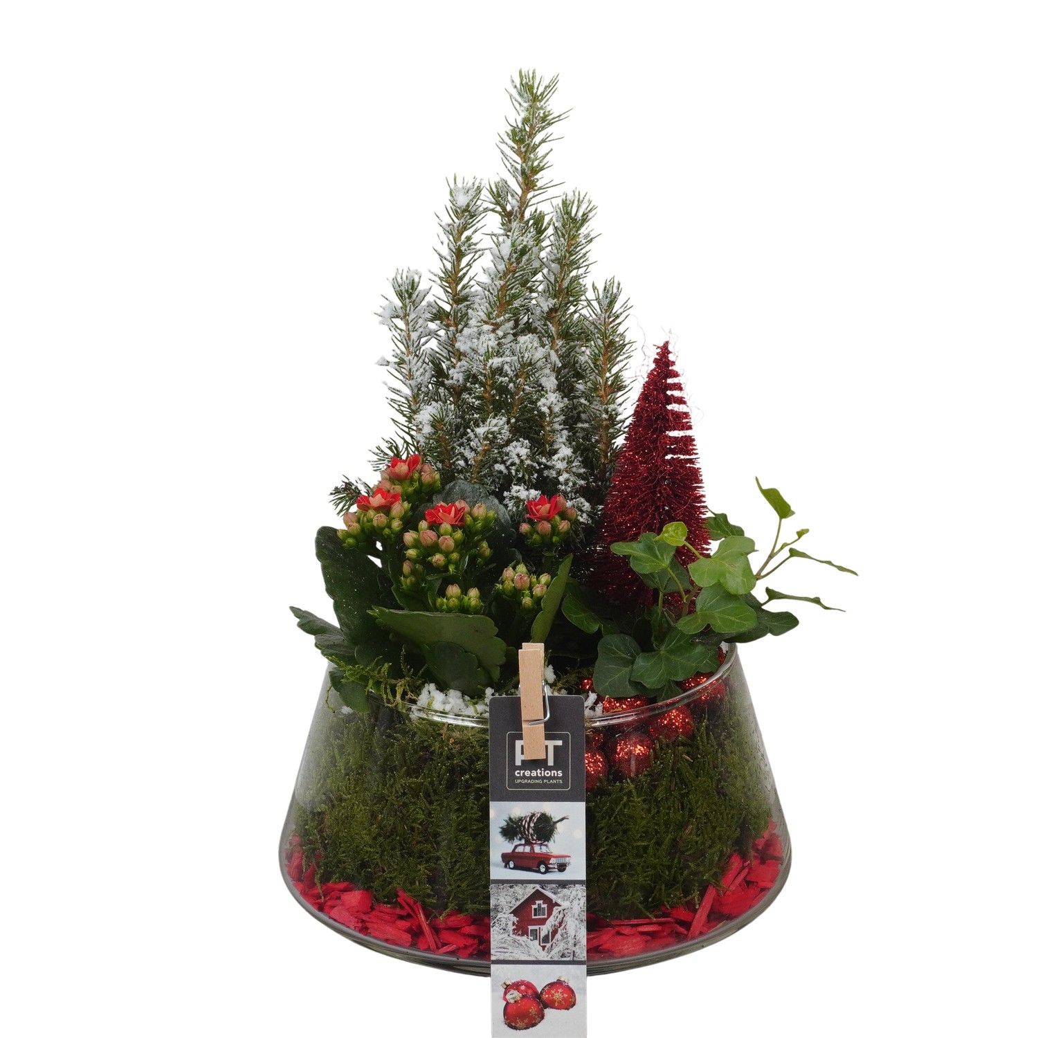 PTCHR7474 Arrangement Christmas Red in glazen pot, D 18 cm