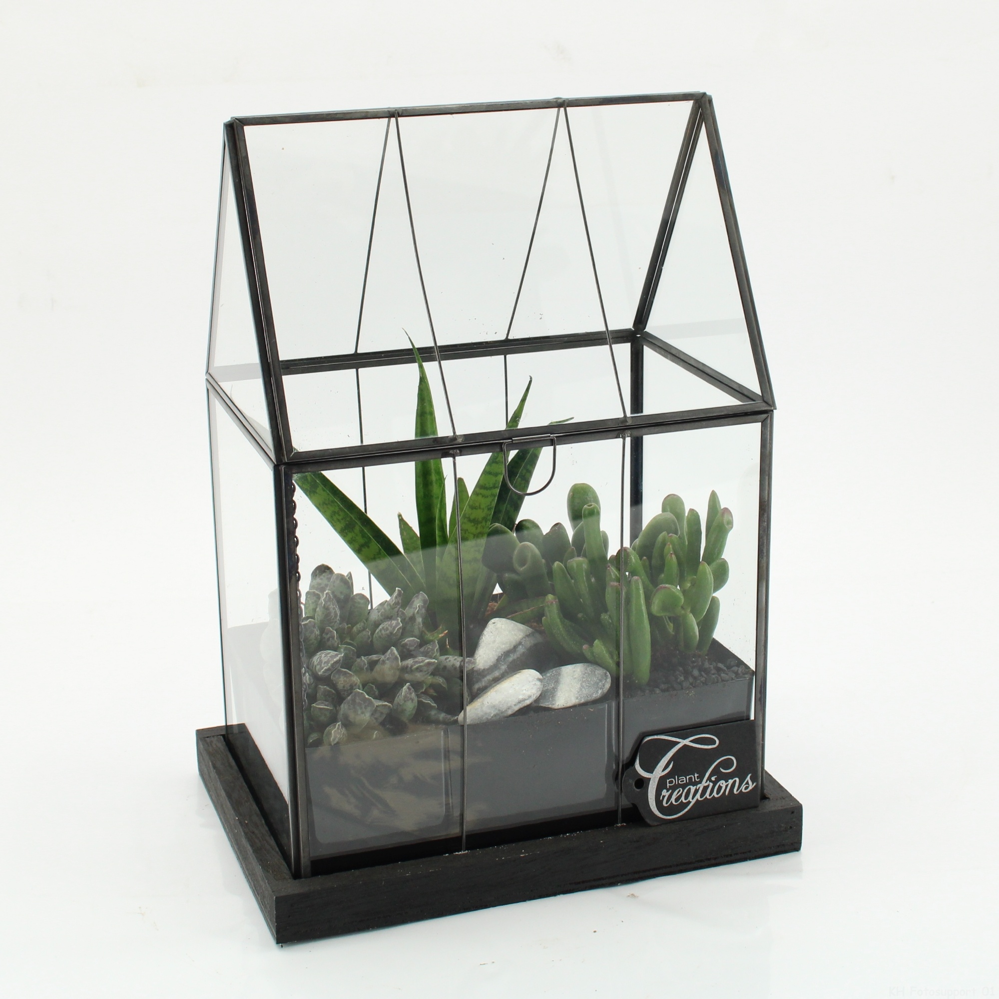 SUCR-2610 Succulent Essentials terrarium, D 23