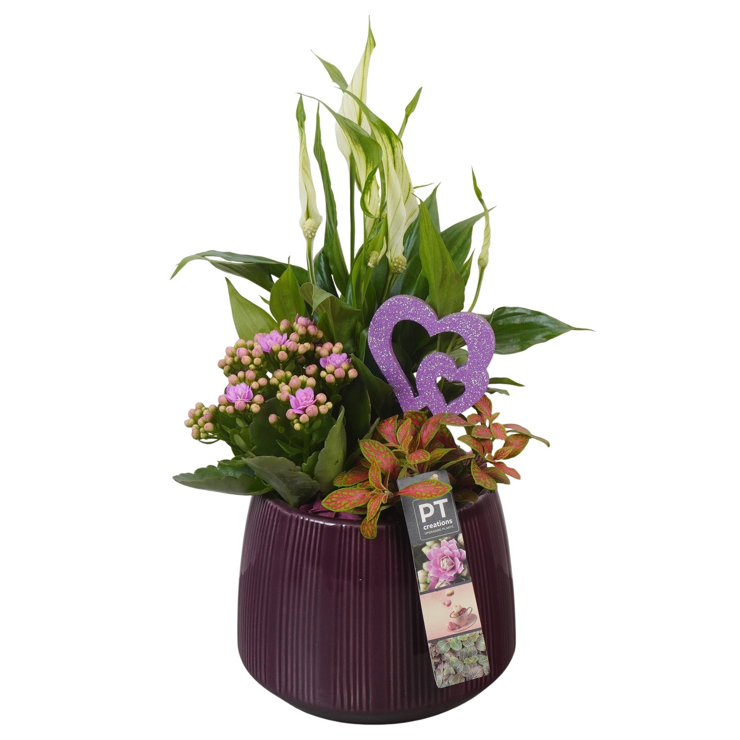 PTVMB2245 Arrangement Valentines-Mothersday in keramiek sierpot, D 16