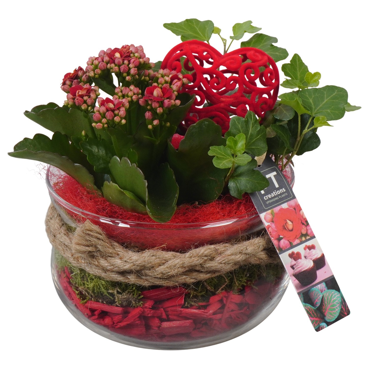 PTVMG4901 Arrangement Valentines-Mothersday in glas schaal, D 16