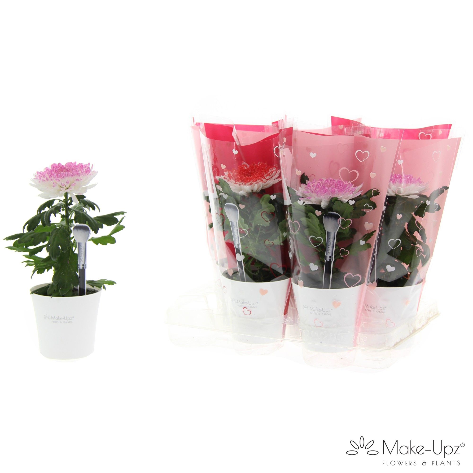 M-Upz Chrysanne® Supernova White Gloss in Heart, D 10,5