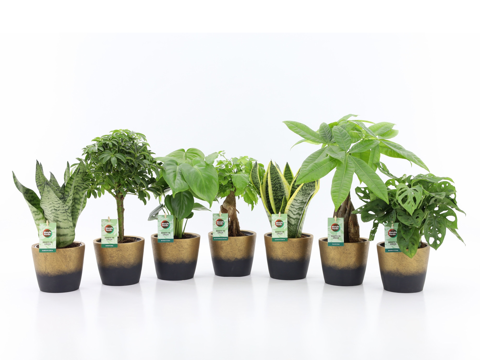 Easy to Care Mix in Lunar keramiek, D 14