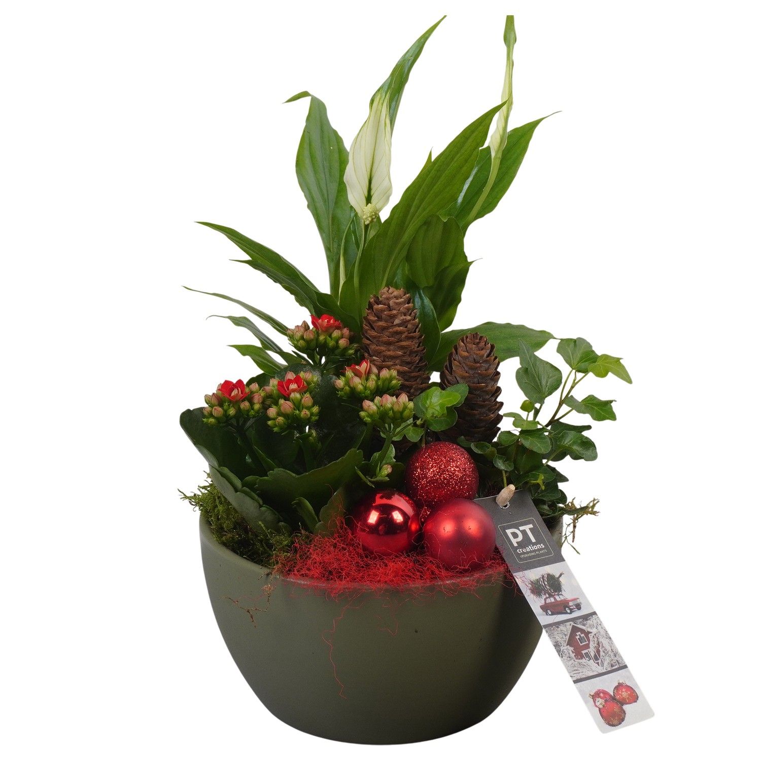 PTCHR7255 Arrangement Christmas Red in keramiek schaal, D 15 cm
