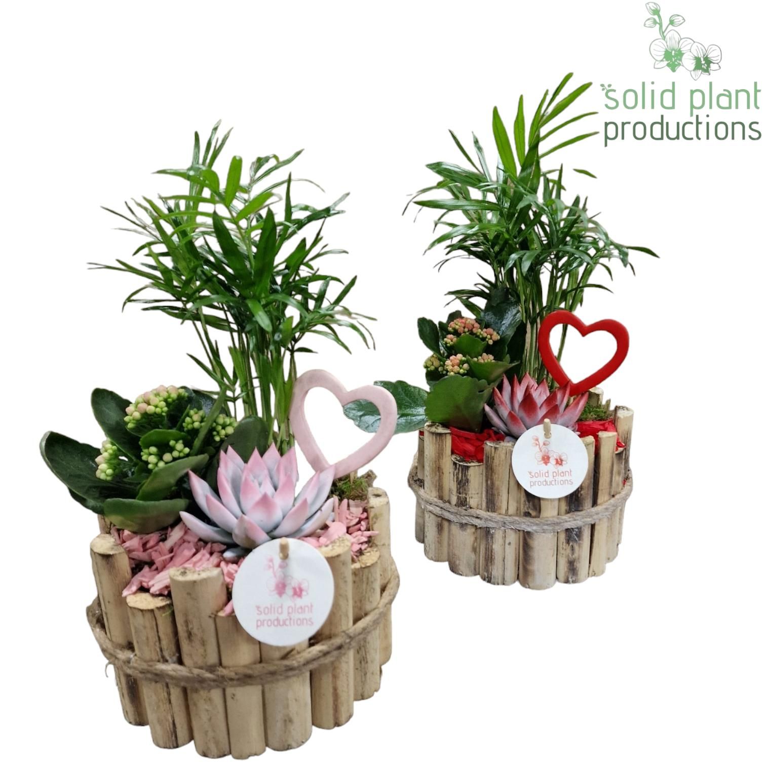 HVCE001 Milano Small Red/Pink, D 17