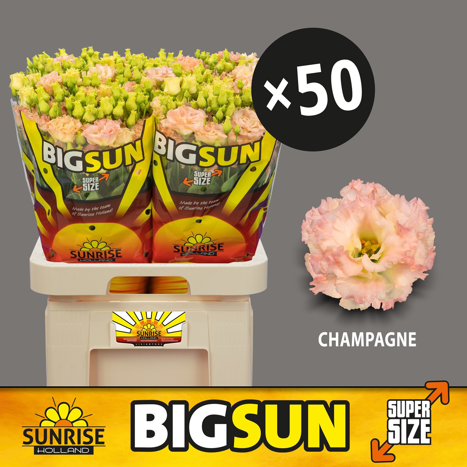 Эустома Алисса Шампань 70 (светло-роз.), шт.