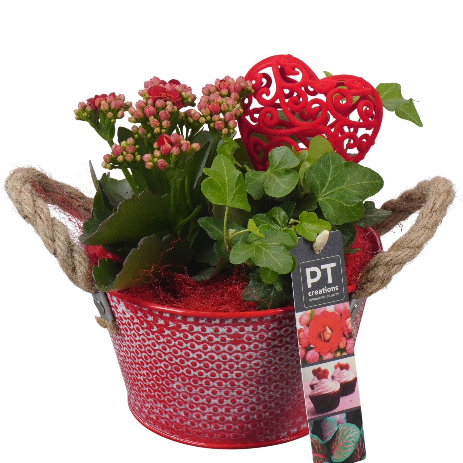 PTVMB2364 Arrangement Valentines-Mothersday in zink sierpot, D 15