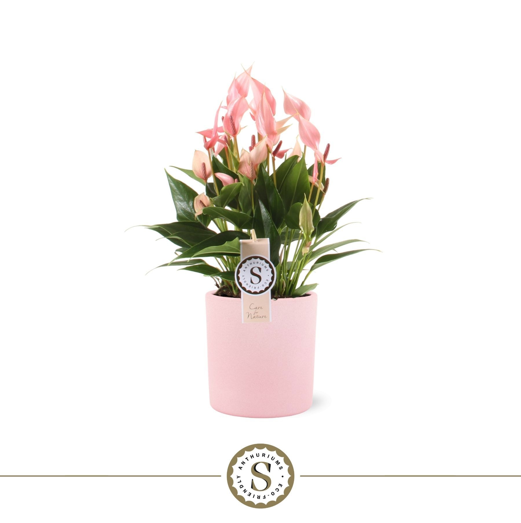 Bari keramiek 14cm Lilli, D 14