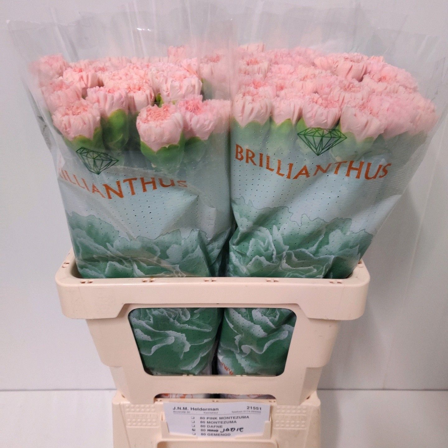 Диантус од. Джоди (роз.), шт.