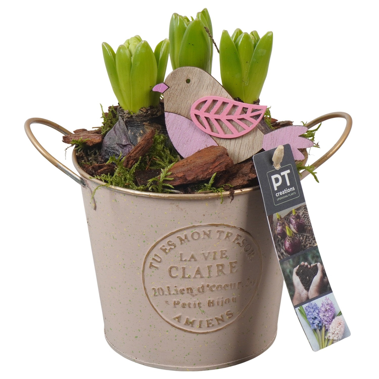 PTHC9126 Arrangement Hyacints in zink pot, D 13