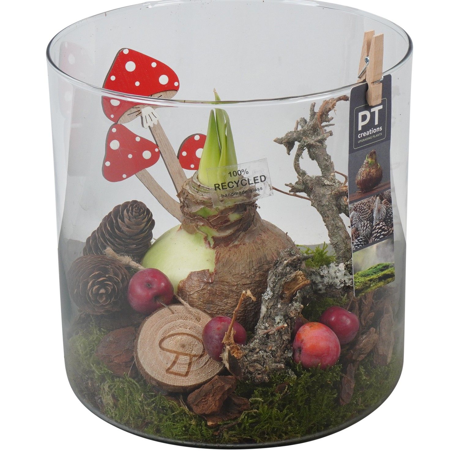 PTAA7591 Arrangement Amaryllis in glazen vaas, D 19 cm