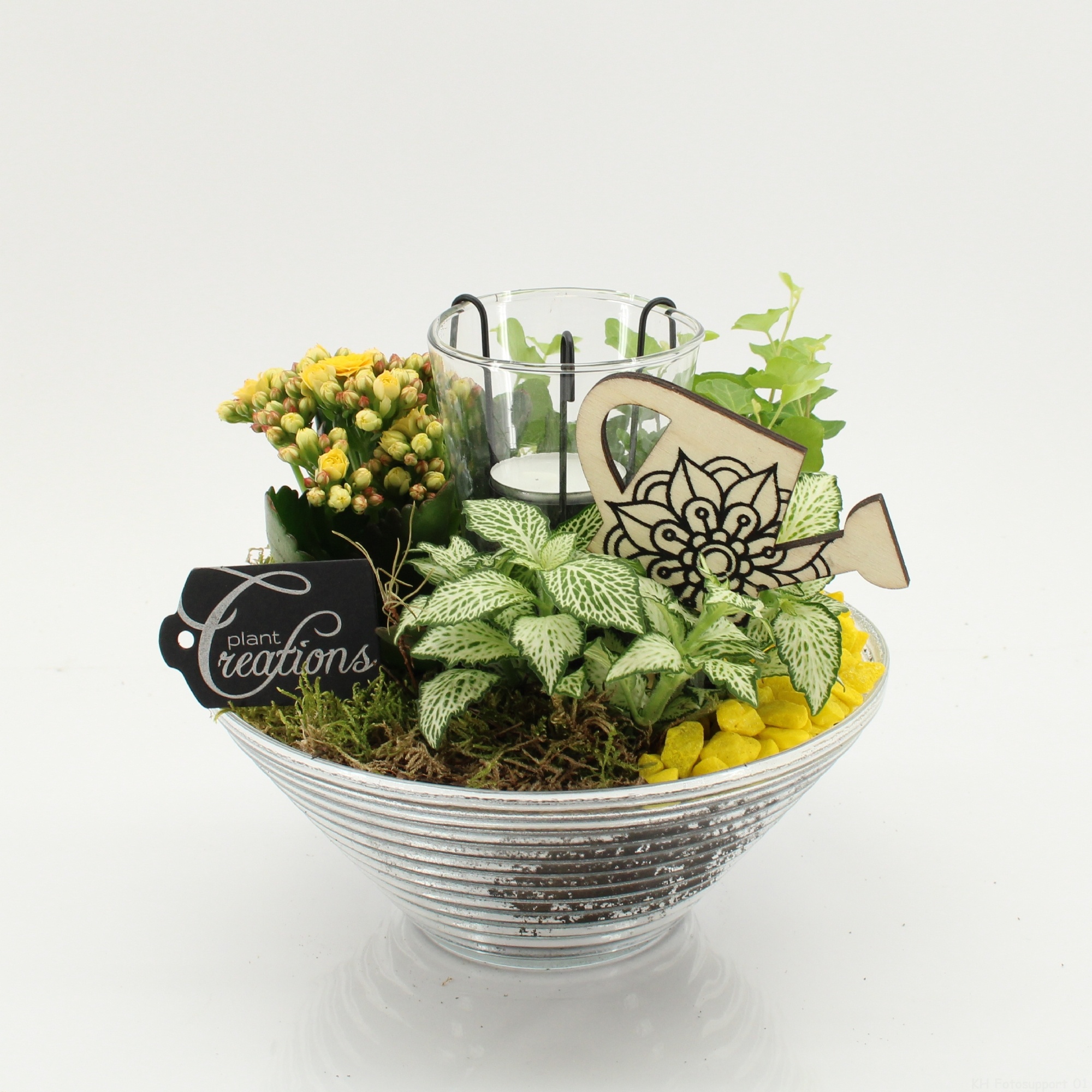 FDCR-2603G Basic Fundamentals, D 20