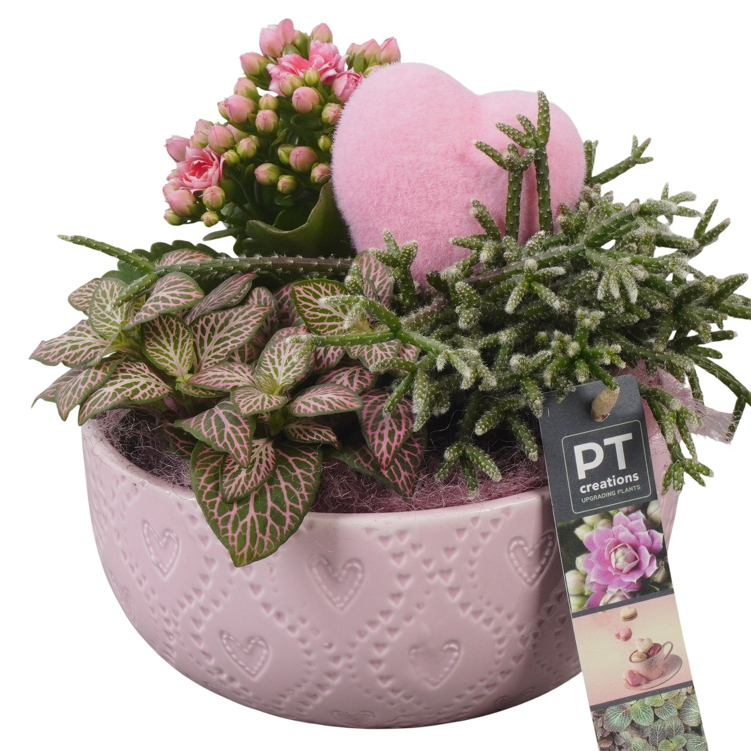 PTVMB2299 Arrangement Valentines-Mothersday in keramiek sierpot, D 17