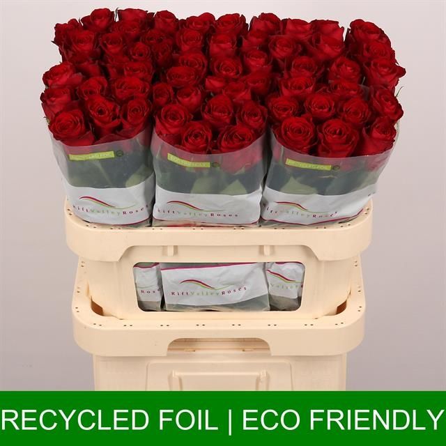 Роза од. Мадам Рэд 80, шт.