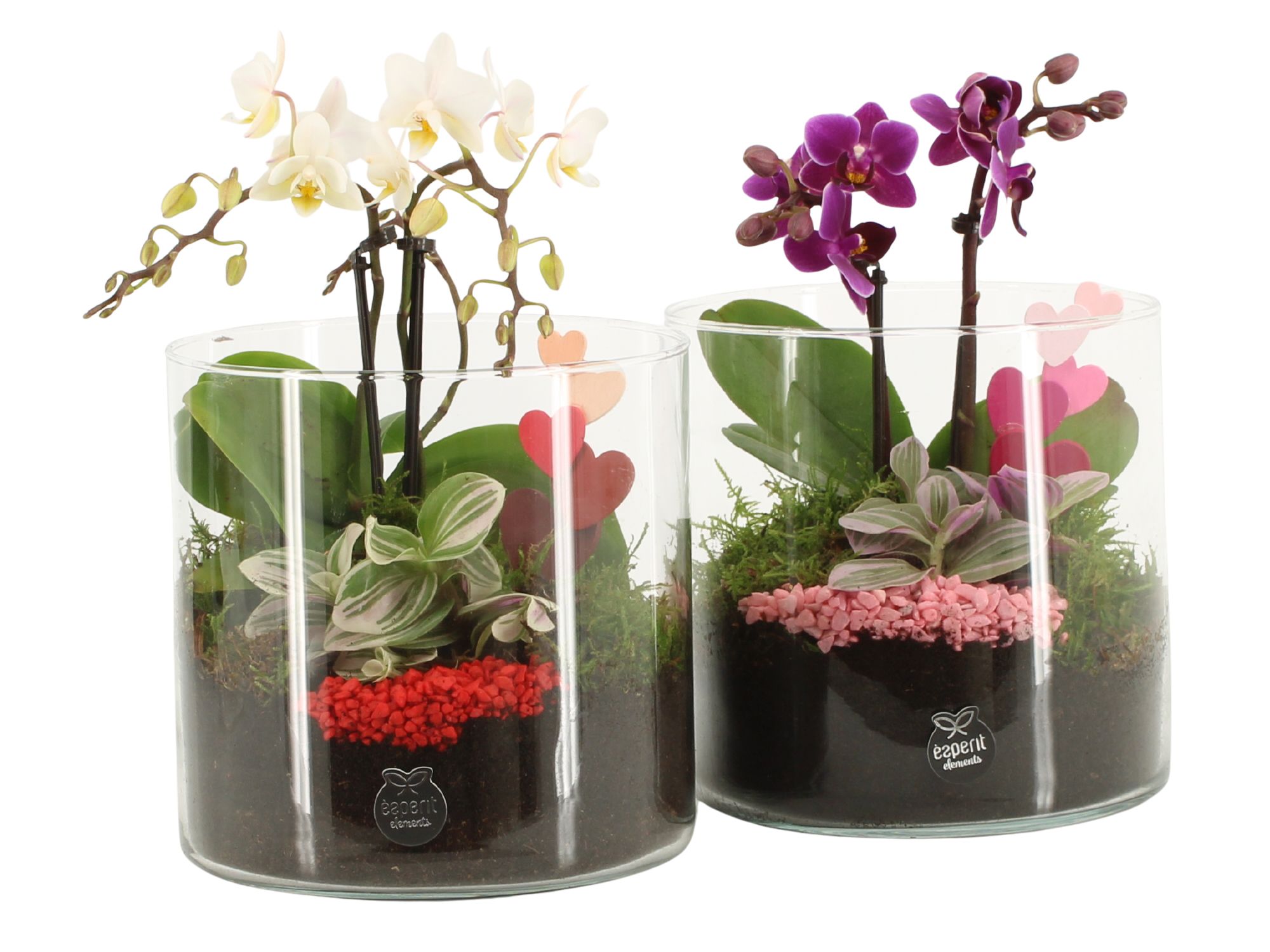 21837: Lovess arrangement, D 15