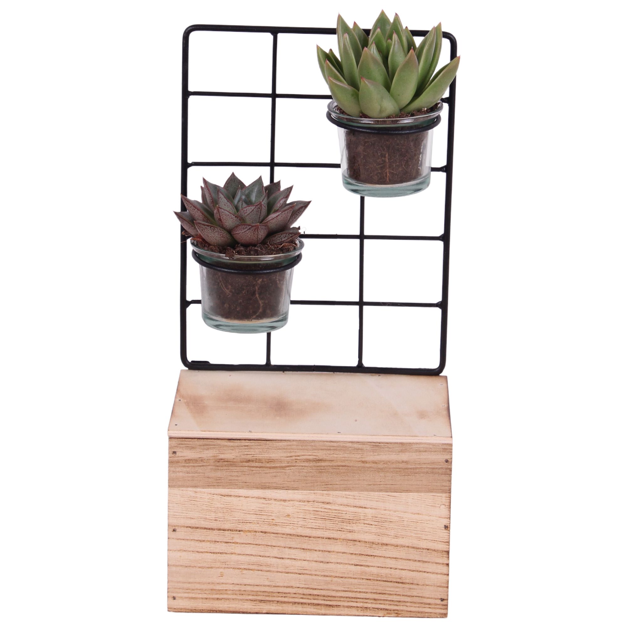 Succulent Metal Stand with Glass on Wood 15 cm 2PP, D 15