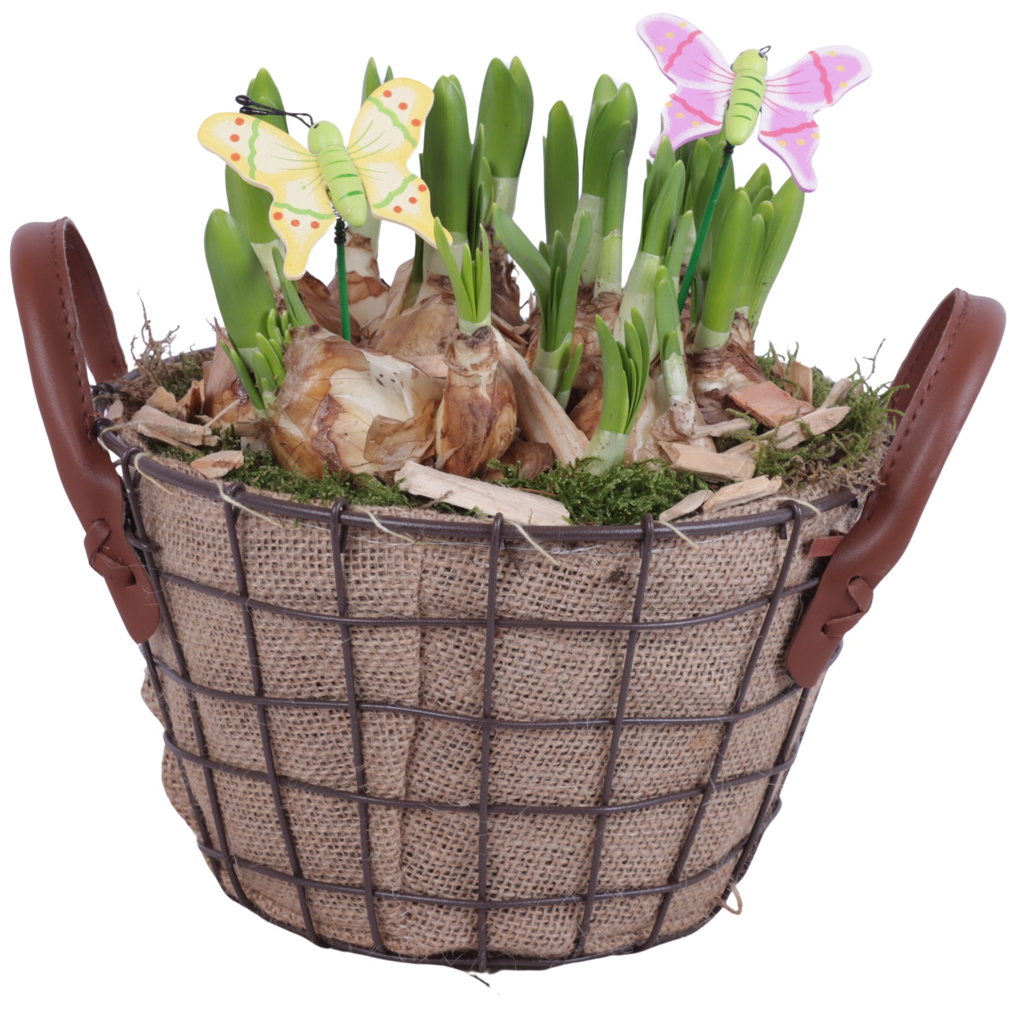 Bulbs Arr. Narcis Metal Wire Basket Jute Ø21cm, D 21