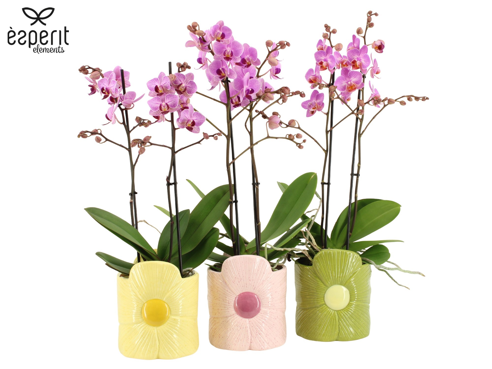 7503583: Solutionss Reinvention, D 12