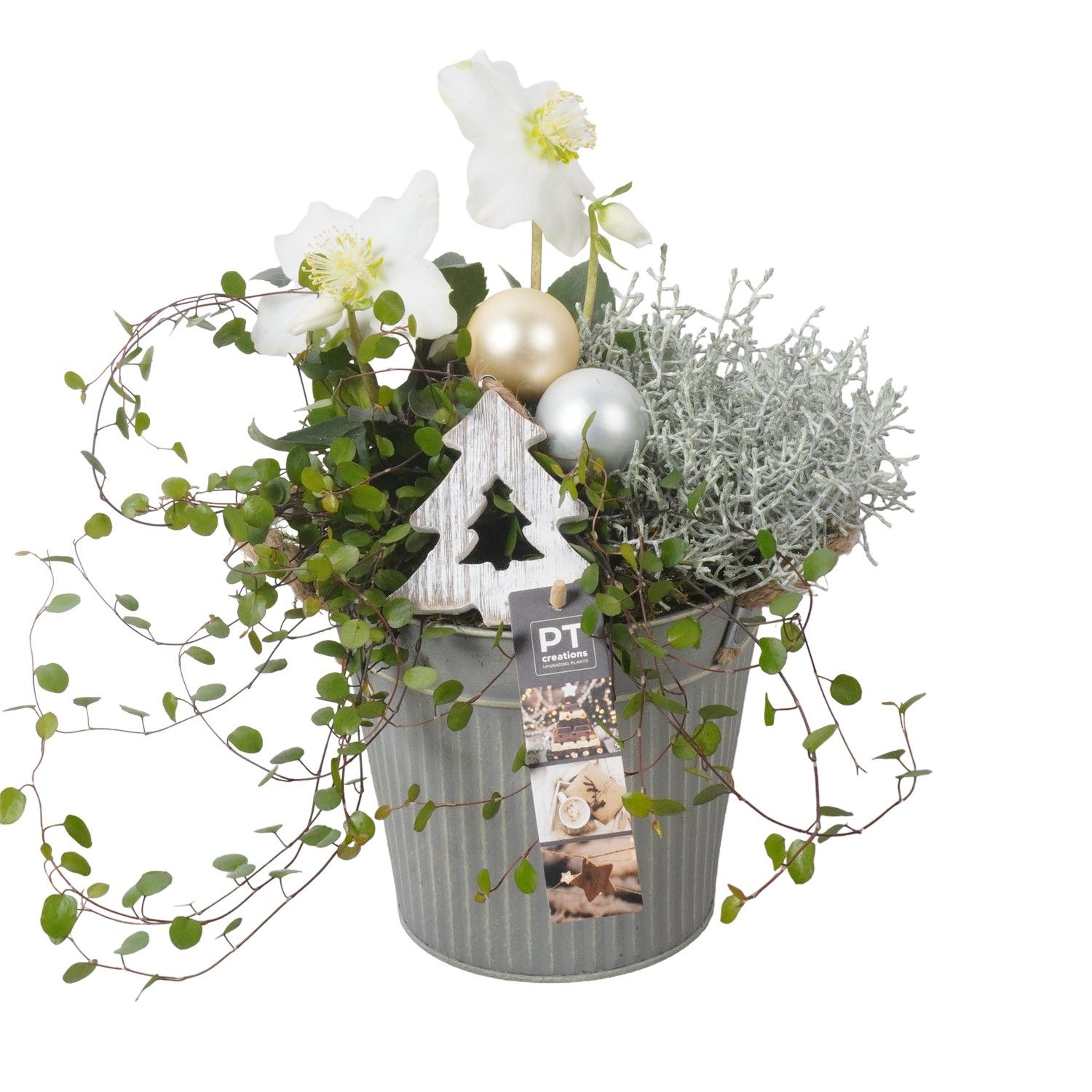 PTWO1941 Arrangement Winter Outdoor in metalen bak, D 16 cm PTWO1941 Arrangement Winter Outdoor in metalen bak, D 16 cm