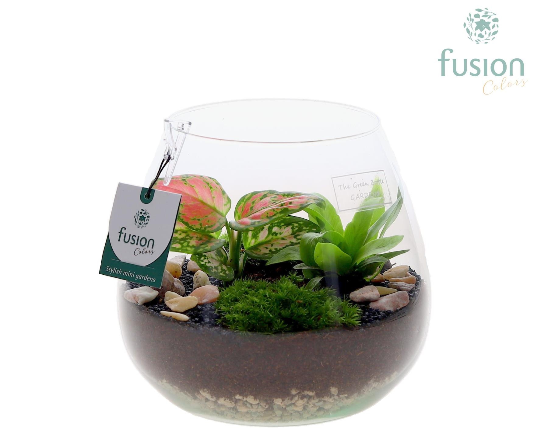 Green Bottle Abby Medium met arrangement, D 19