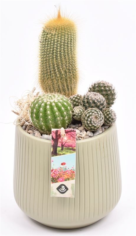 Keramiek vert.lines khaki mat 14cm, D 15